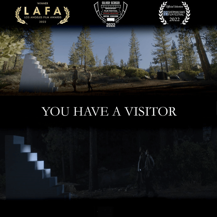 Poster for You Have A Visitor, directed by Kyle Harrington.
